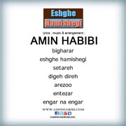 Amin Habibi3s - دانلود آلبوم امین حبیبی به نام عشق همیشگی
