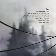 Amir Ashkan11s - دانلود آلبوم امیر اشکان غلامی به نام مسافران مردد