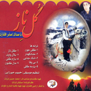 Saber Afshari2s - دانلود آلبوم صابر افشاری به نام گل ناز